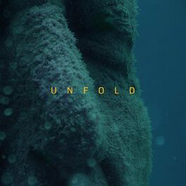 Album cover of Unfold (XXIM:EXPO #2)