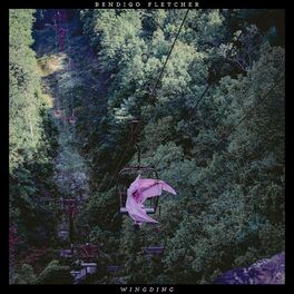 Album cover of Wingding