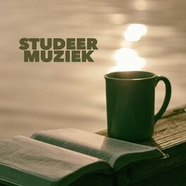 Album cover of Studeermuziek
