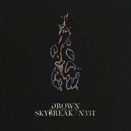 Album cover of Drown (Skybreak, N33T Remix)