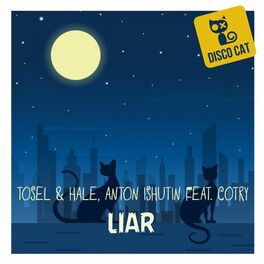 Album cover of Liar
