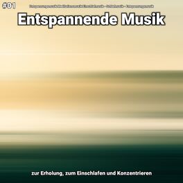 Album cover of #01 Entspannende Musik zur Erholung, zum Einschlafen und Konzentrieren