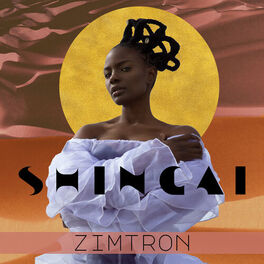 Album cover of Zimtron