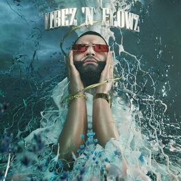 Album cover of VIBEZ 'N' FLOWZ