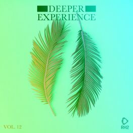 Album cover of Deeper Experience, Vol. 12