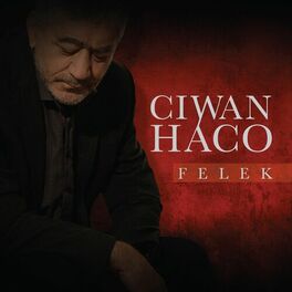 Album cover of Felek
