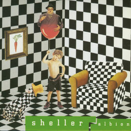 Album cover of Albion