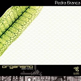 Album cover of Organismo Eletrônico