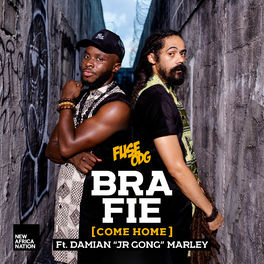Album cover of Bra Fie (feat. Damian 