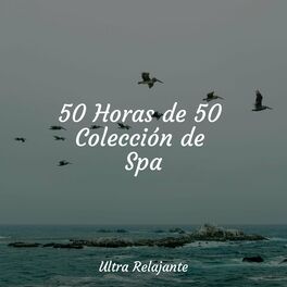 Album cover of 50 Horas de 50 Colección de Spa
