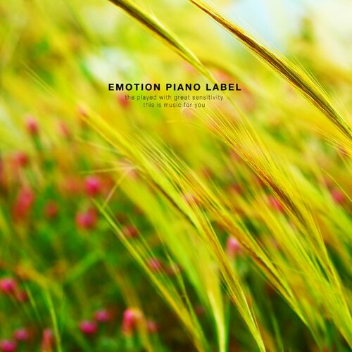 various-artists-new-age-piano-with-a-clear-sense-of-nature-texty-a