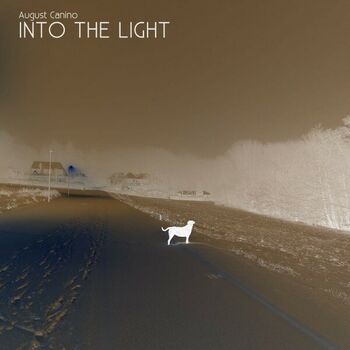 Into the Light cover