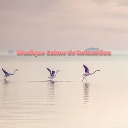Album cover of Musique calme de relaxation