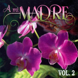 Album cover of A Mi Madre Vol. 2
