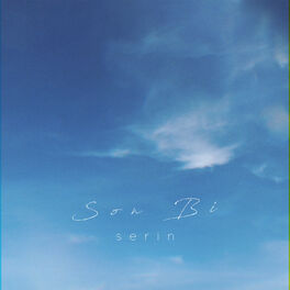 Album cover of Son Bi