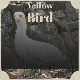 Album cover of Yellow Bird
