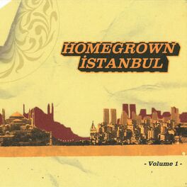 Album cover of Homegrown Istanbul, Vol. 1
