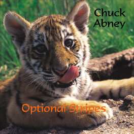 Album cover of Optional Stripes