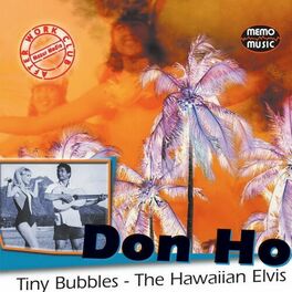 hawaiian song tiny bubbles lyrics