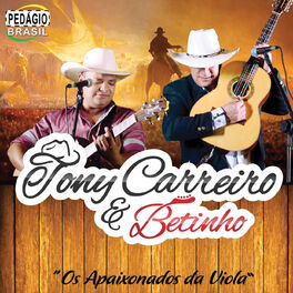 Album cover of Os Apaixonados da Viola