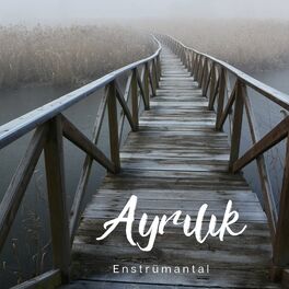 Album cover of Ayrılık