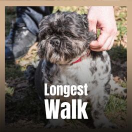 Album cover of Longest Walk