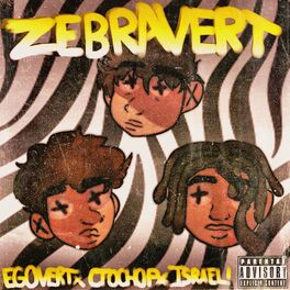 Album cover of ZEBRAVERT