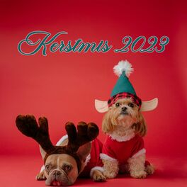 Album cover of Kerstmis 2023