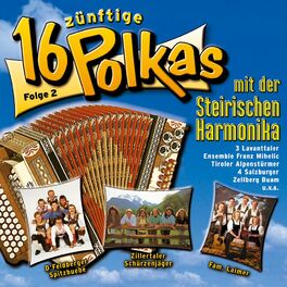Album cover of 16 zünftige Polkas mit der steirischen Harmonika - Folge 2