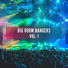 Album cover of Big Room Bangers Vol. 1