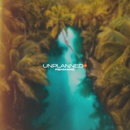 Album cover of Unplanned