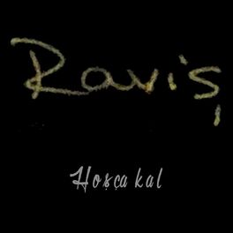Album cover of Hoşça kal