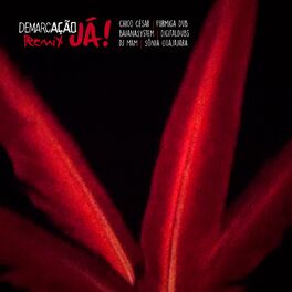 Album cover of Demarcação Já (Remix 3)