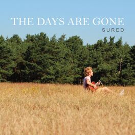 Album cover of The Days Are Gone