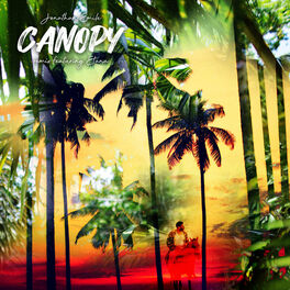 Album cover of Canopy (Remix)