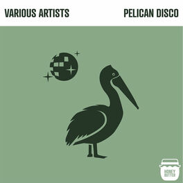 Album cover of Pelican Disco