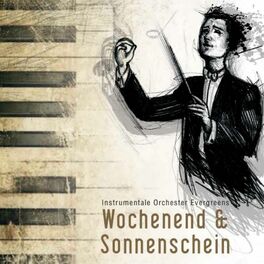 Album cover of Wochenend und Sonnenschein - instrumentale Orchester Evergreens