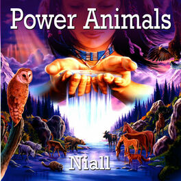 Album cover of Power Animals