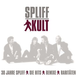 Album cover of Kult - 30 Jahre Spliff