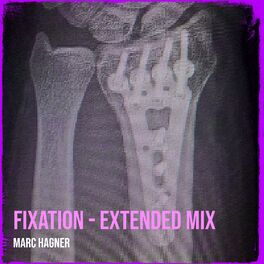 Album cover of Fixation (Extended Mix)
