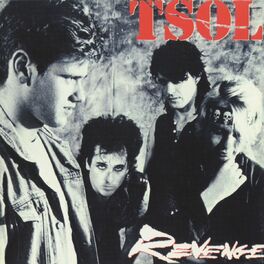 Album cover of Revenge