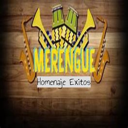 Album cover of Homenaje Al Merengue Éxitos