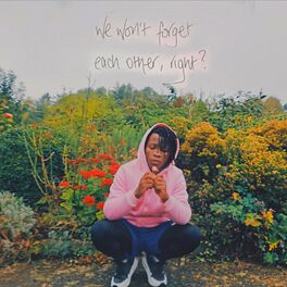 Album cover of We Won't Forget Each Other, Right?