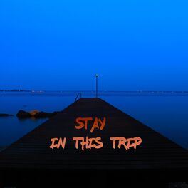 Album cover of Stay in this trip