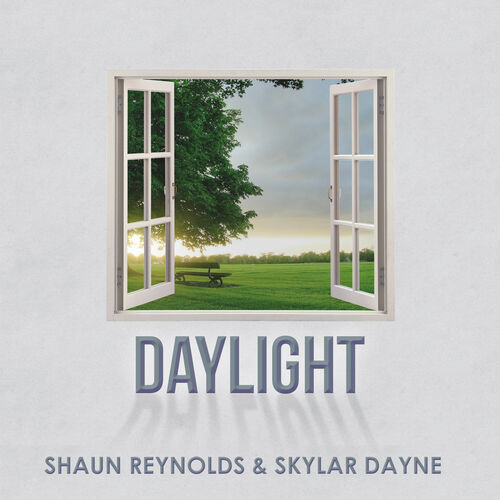 daylight maroon 5 album cover