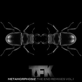 Album cover of Metamorphosiz: The End (Remixes, Vol. 1)