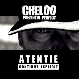 Album cover of Prezentul Perfect