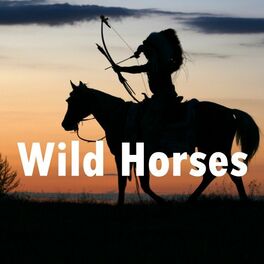 Album cover of Wild Horses