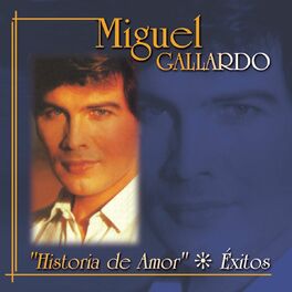 Album cover of Historia De Amor - Exitos