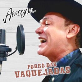 Album cover of Forró das Vaquejadas